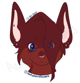 Headshot - Flat Color: $4